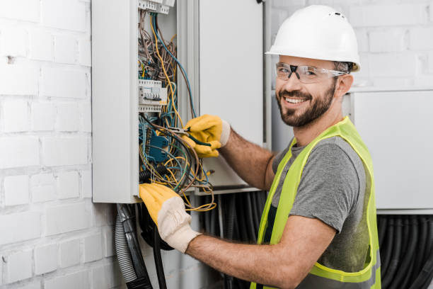 Best Affordable Electrician  in Grand Meadow, MN