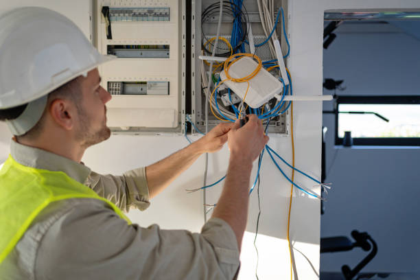 Best Ceiling Fan Installation Electrician  in Grand Meadow, MN